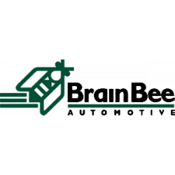 BRAIN BEE